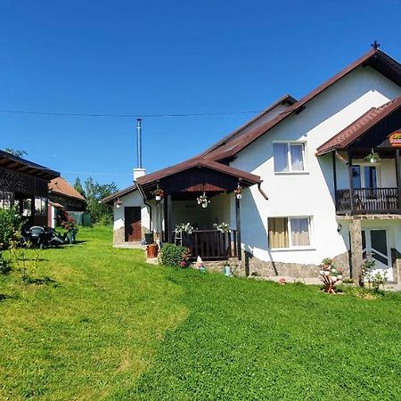 Casa Elena Pensionat Bran  Exteriör bild