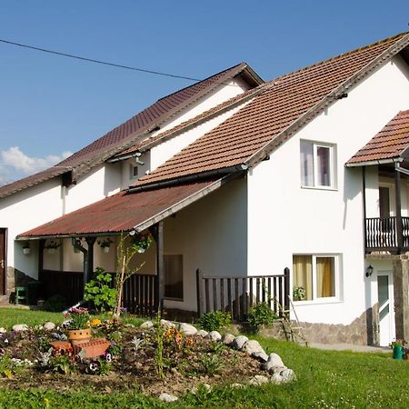Casa Elena Pensionat Bran  Exteriör bild