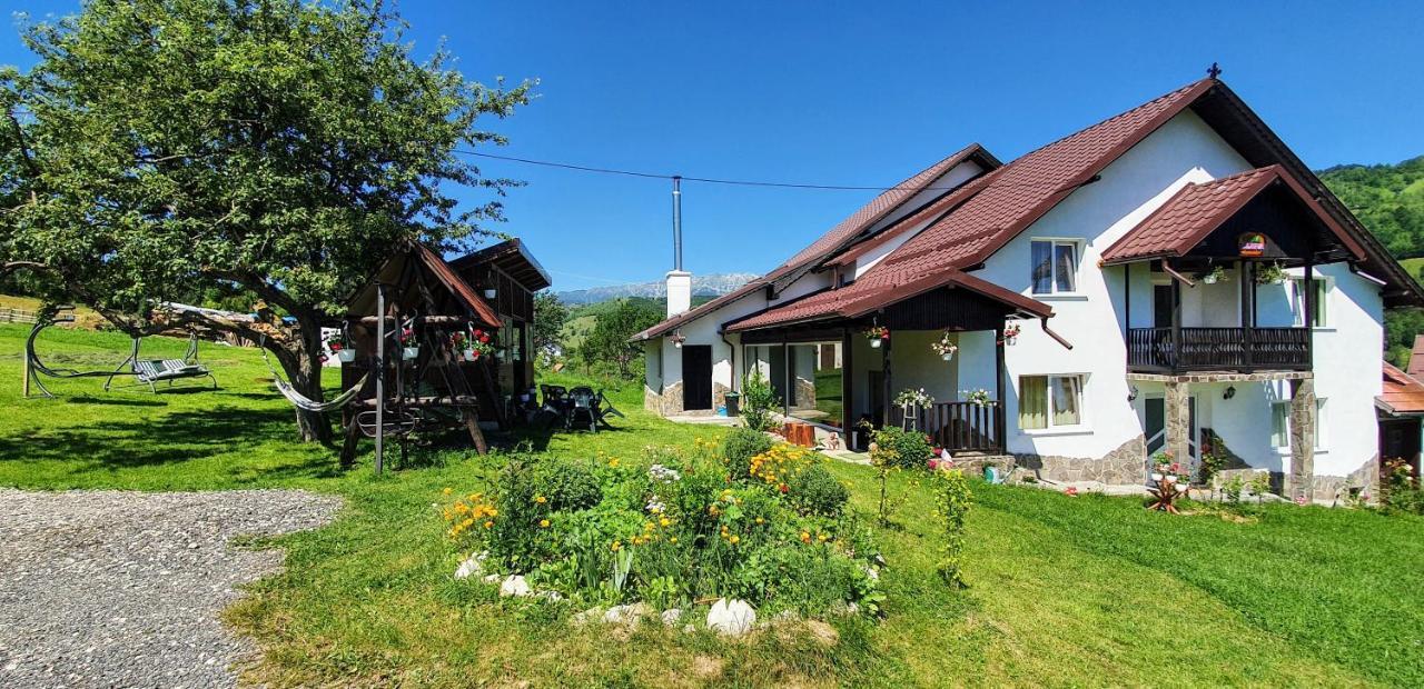 Casa Elena Pensionat Bran  Exteriör bild