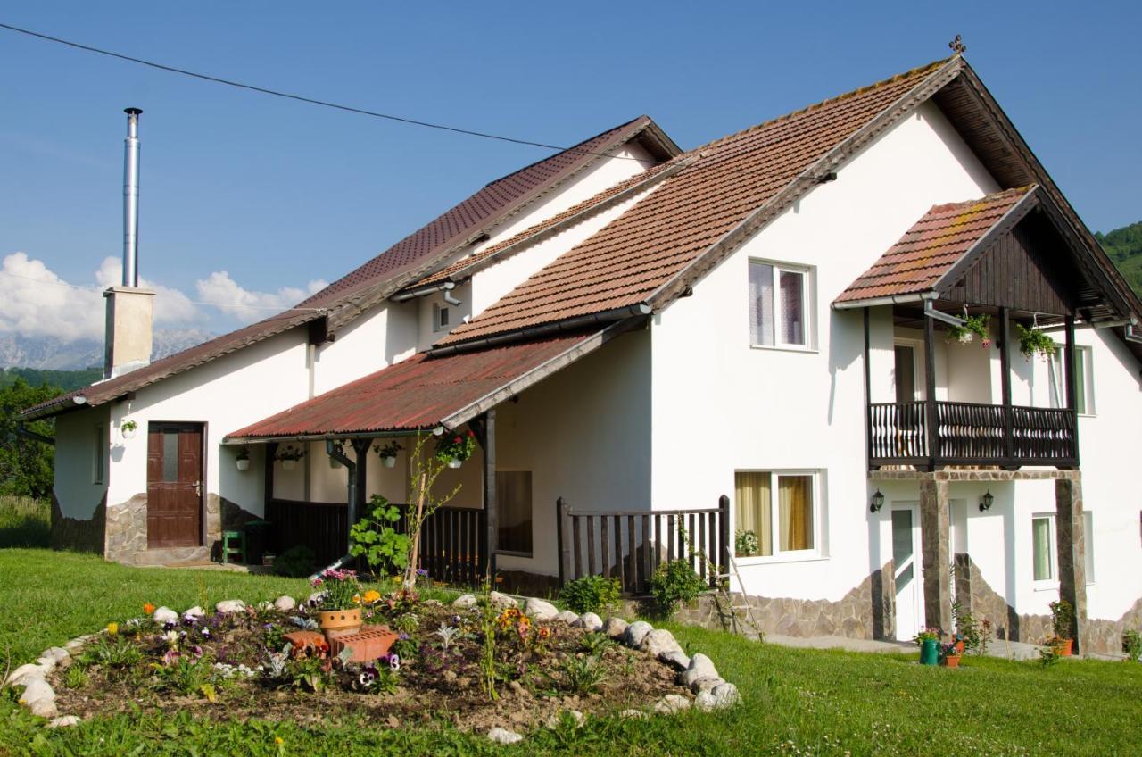 Casa Elena Pensionat Bran  Exteriör bild