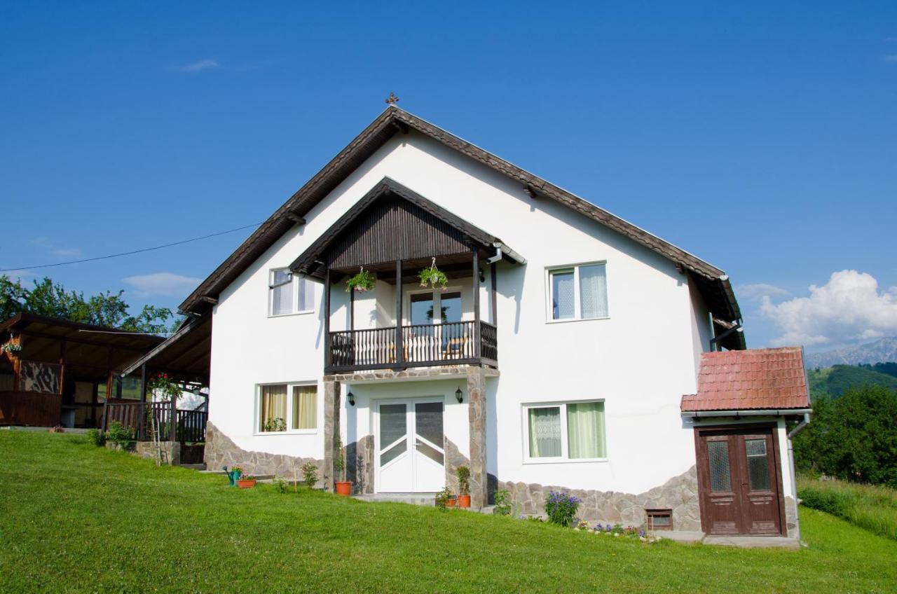 Casa Elena Pensionat Bran  Exteriör bild